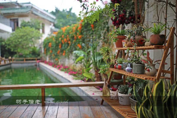 居于涟岸隐于湖,到肇庆体验离尘不离城的精致慢生活