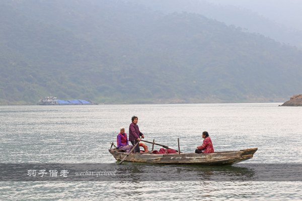 居于涟岸隐于湖，到肇庆体验离尘不离城的精致慢生活
