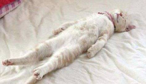 跨境购全球购,跨境购啥样的