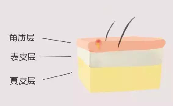 护肤保养你的脸,春季护肤需要保湿吗