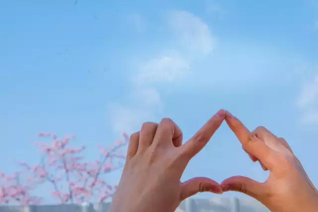 初春の樱花季|春风十里,我在辰山树下等你~