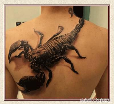 粉丝求图,粉丝求素材原图怎么回复