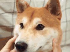 巨无霸口红,不好意思的口红