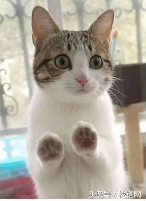 钢材销售员的一天，简直太形象了！笑喷……