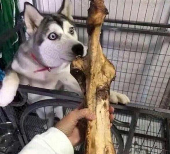 女友肺活量太好,女朋友手气不好怎么办