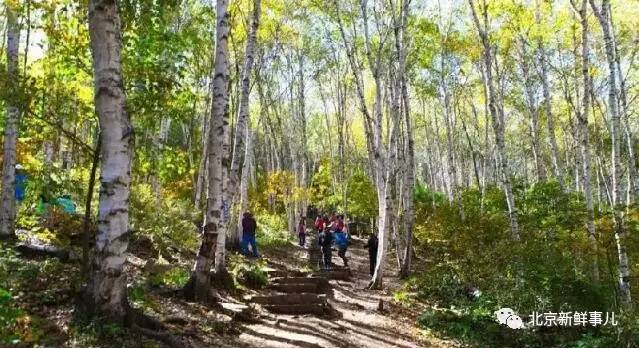 北京植物园踏青赏花,踏青赏花北京