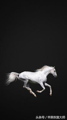 iphone超有质感的壁纸,关于黑色的高级感iphone壁纸