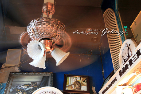 鼓浪屿旅行攻略最新,鼓浪屿旅行攻略大全