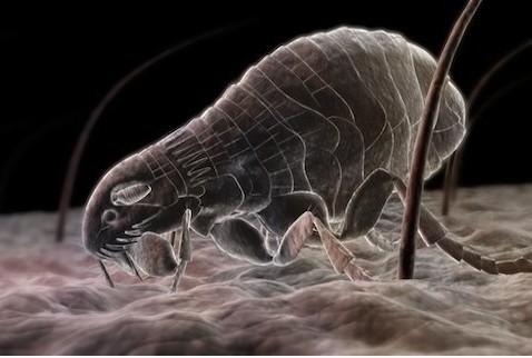 鼻子长痘应该注意些什么,鼻子上长痘是什么原因怎么解决呢