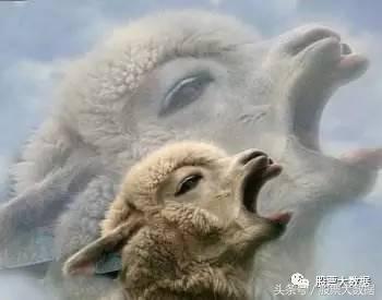 低成本航空公司的商业模式,航空商业模式有哪些