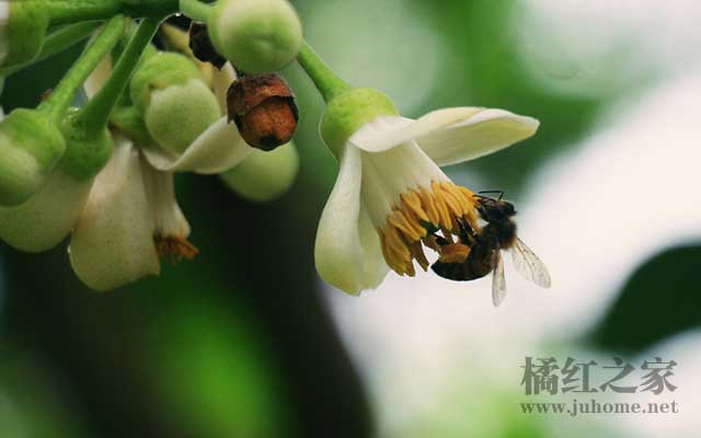 咽炎支气管炎咳嗽？到这个地方旅游几天就好了