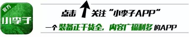 刺客战靴,刺客球鞋11