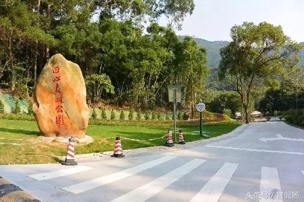 周末中山值得去打卡的地方,中山周末去耍的公园