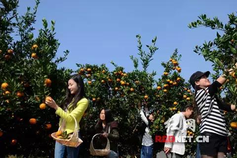 “南方夏都”桂东，平汝高速上的避暑休憩地