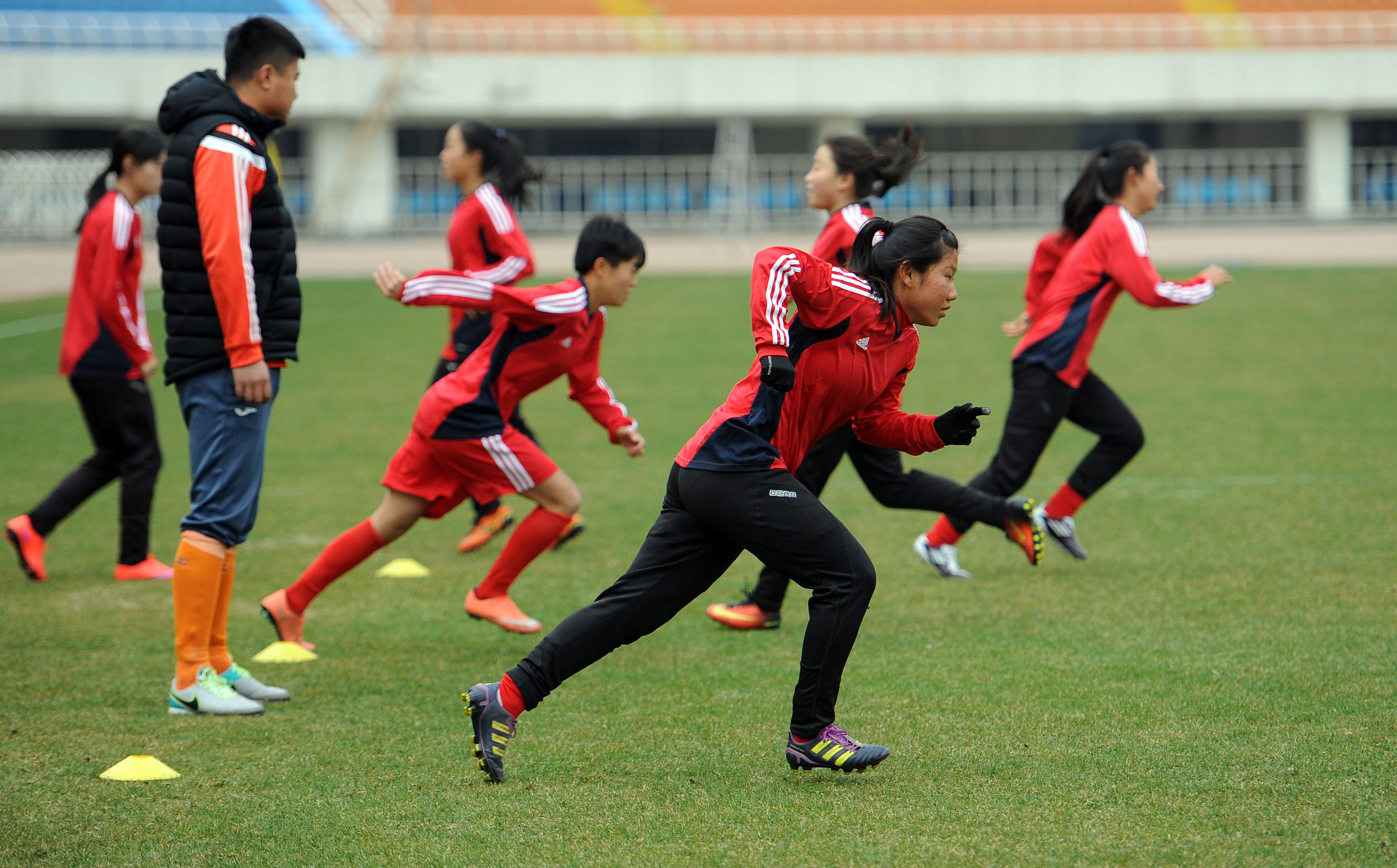 3月12日到省体看陕西“玫瑰”炫丽绽放