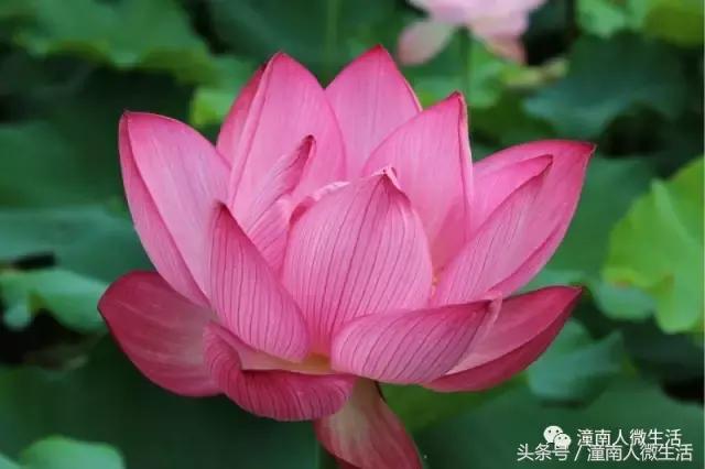 潼南附近的城市好玩的地方,潼南是不是个好地方