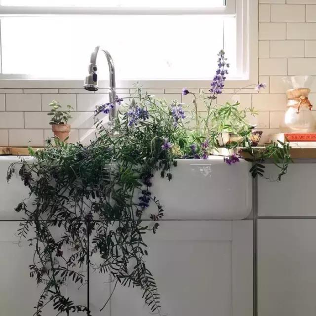 生活从来不是你想干什么就干什么,生活不是我想怎么样就怎么样