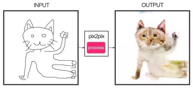 年轻人,想不想亲自去拍个猫片呀!