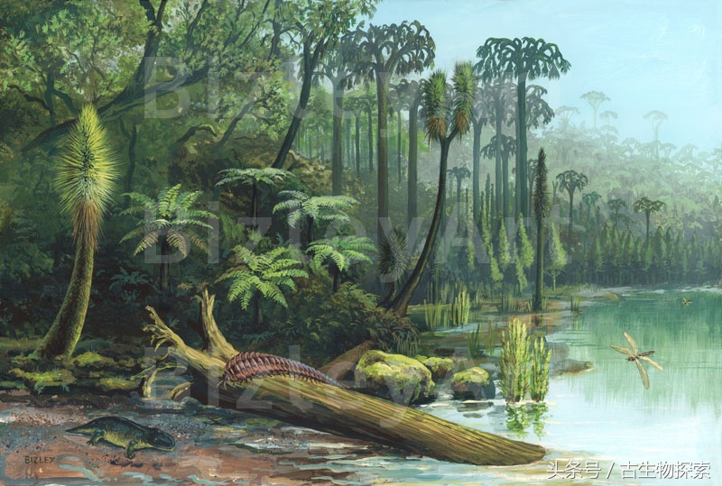 史前蜈蚣大战巨脉蜻蜓,史前蜈蚣体长可达3米