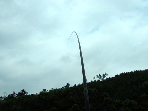 用黑蚯蚓钓黄辣丁,用黑蚯蚓钓什么鱼