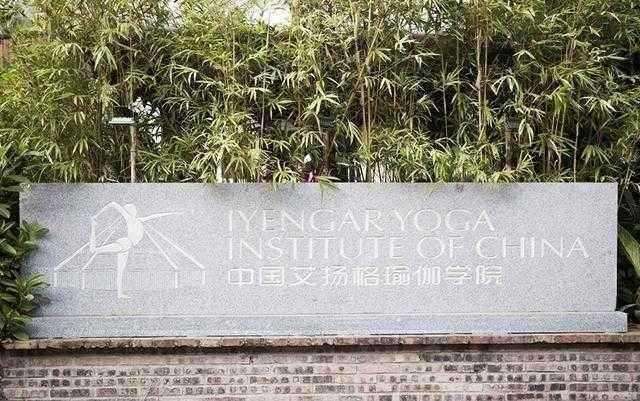 艾扬格瑜伽调息引导词,艾扬格椅子瑜伽课前调息