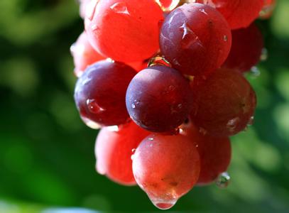 热可以杀死癌细胞吗,热疗法能治癌细胞吗