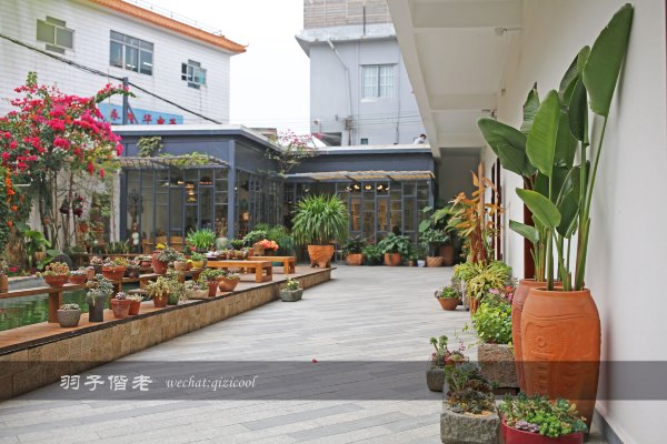 居于涟岸隐于湖,到肇庆体验离尘不离城的精致慢生活