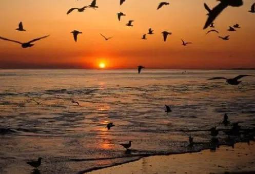 国内海边带小孩哪里好,哪个海边适合一个人带宝宝去玩