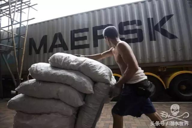 禁令之下，鱼翅照运？