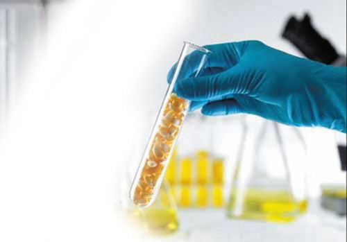 硅藻泥真的这么好吗,硅藻泥的真实缺点