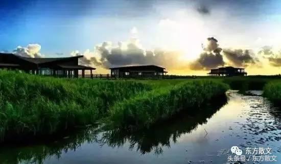 灜洲情思——梦追崇明