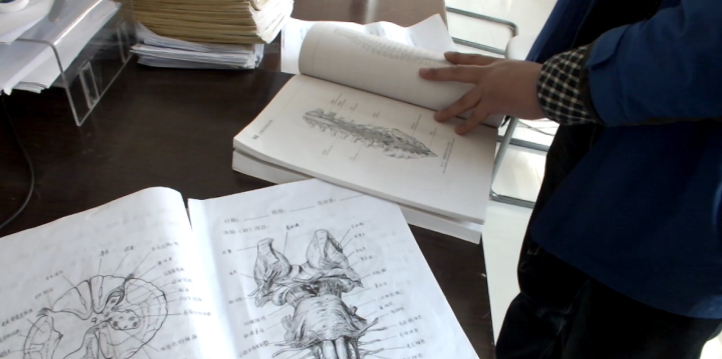 大学美女学霸手绘人体解剖图太逼真堪比印刷成为网红