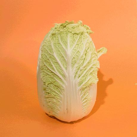 隔夜的炒白菜早上可以吃吗,炒熟的白菜过夜还可以吃吗