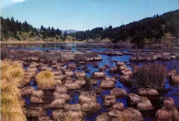 乐山每个区县名字,四川乐山省级贫困县名单