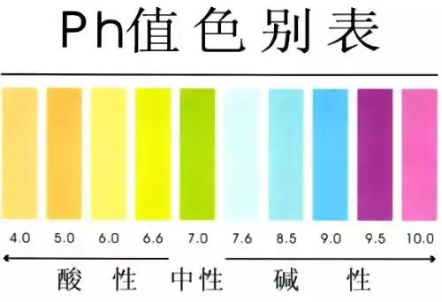 体酸是百病之源,酸体乃百病之源