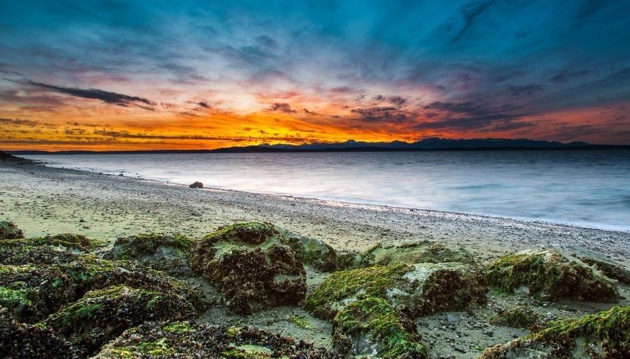 触龙说服赵太后成功的原因,触龙说赵太后概括内容