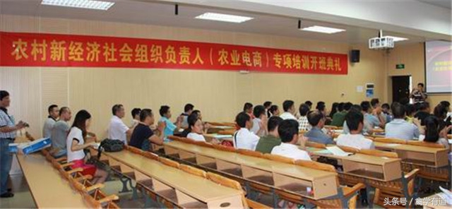 想在农村创业有没有什么好的项目,55到65岁在农村能创业什么项目