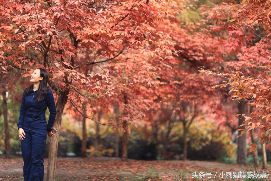 开榨油坊的真实案例,开个榨油坊一年能挣多少钱
