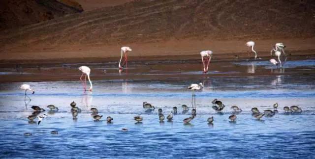 怎么拍出来照片和油画一样,拍照拍出油画质感