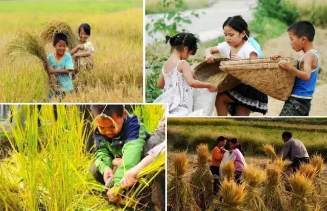 农村这些农活，做过5个的顶起，特别是第七个！