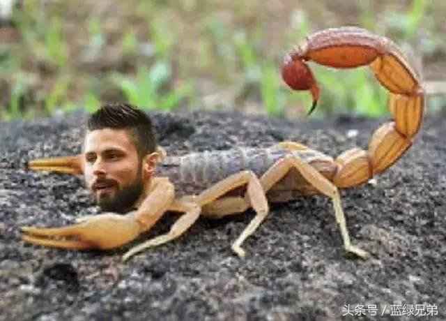 世界足坛70大经典倒钩进球,欣赏一下足坛经典的30大凌空破门