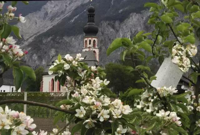 来奥地利，拥抱阿尔卑斯