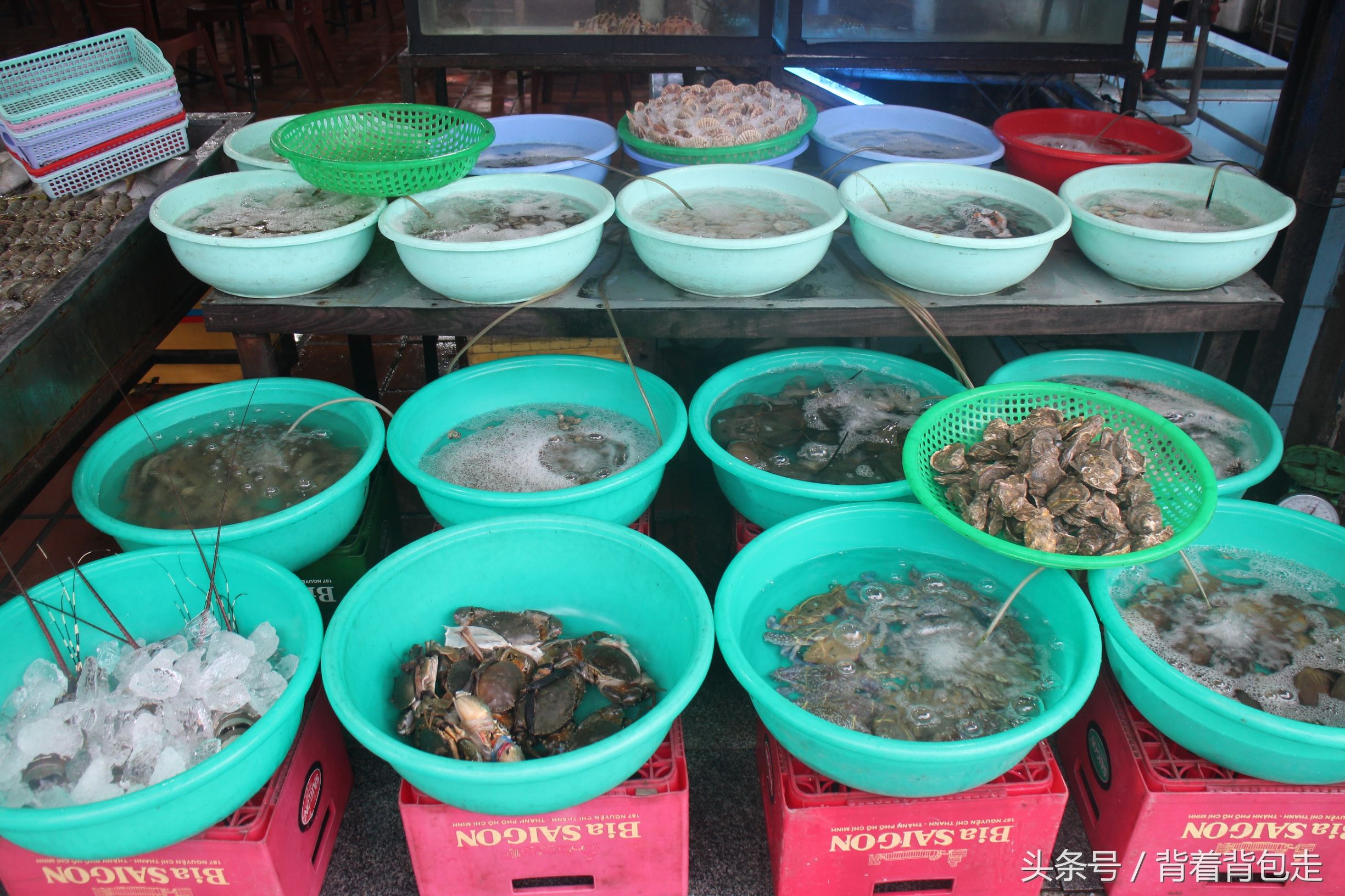 中国去越南的交通方式,去越南自驾游的最佳路线