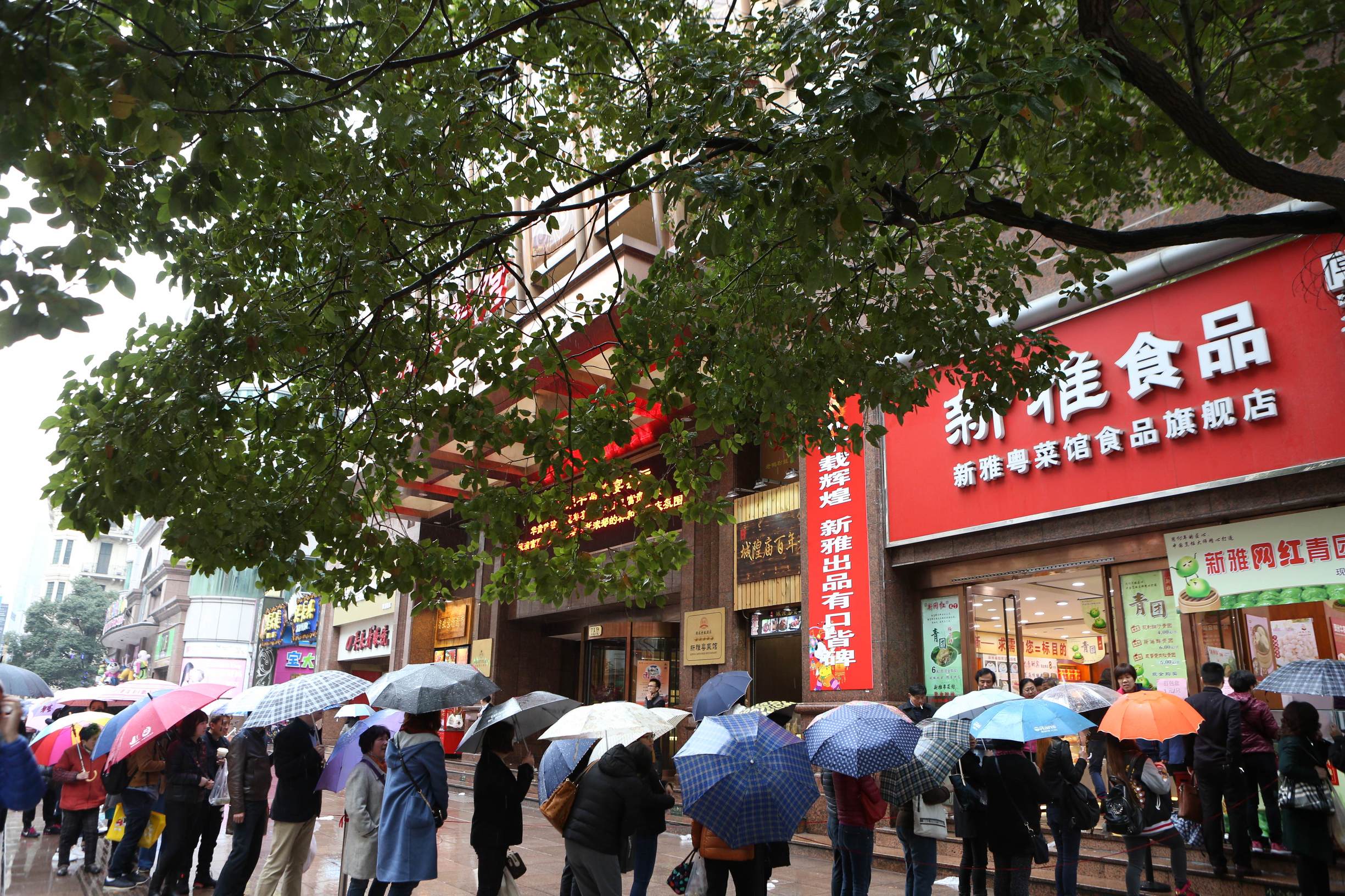 上海新雅腌笃鲜青团,上海正宗腌笃鲜