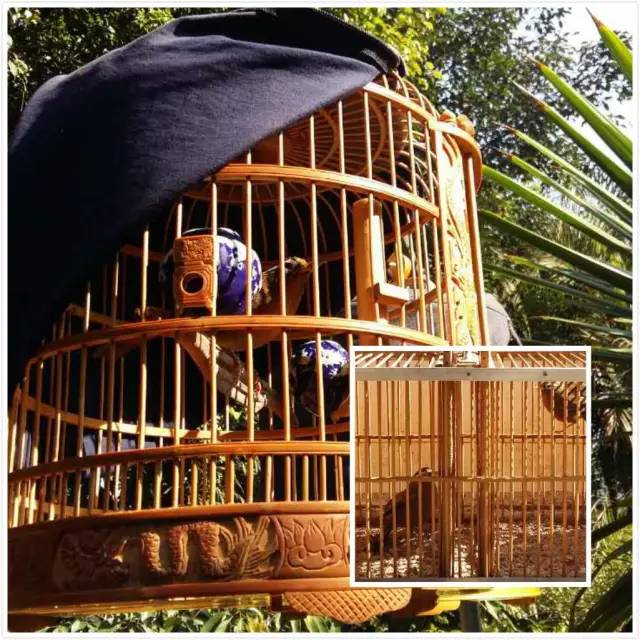 正月普洱旅游攻略,来云南带你游山玩水