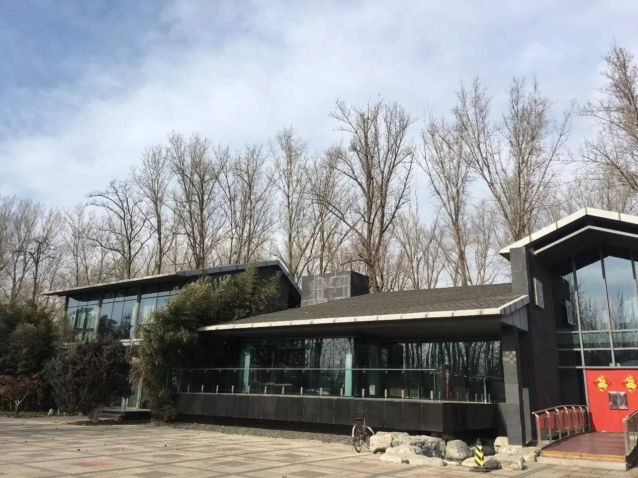 大风车2016视频,大风车2007年视频