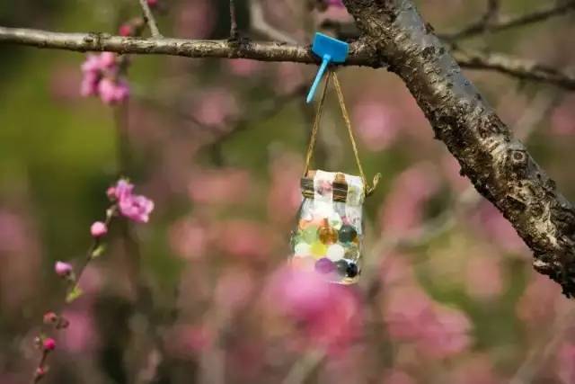 2018上海三八节景点有哪些,上海三八妇女节哪个公园免门票