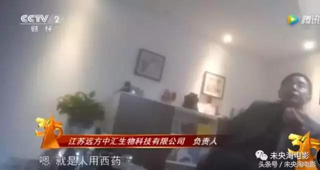 2003十大恐怖片,2005恐怖片