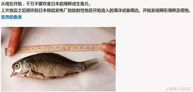 核辐射无印良品还能买吗,无印良品是核辐射地区吗