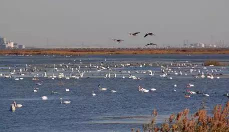 韩国滨海新区,韩国和滨海新区